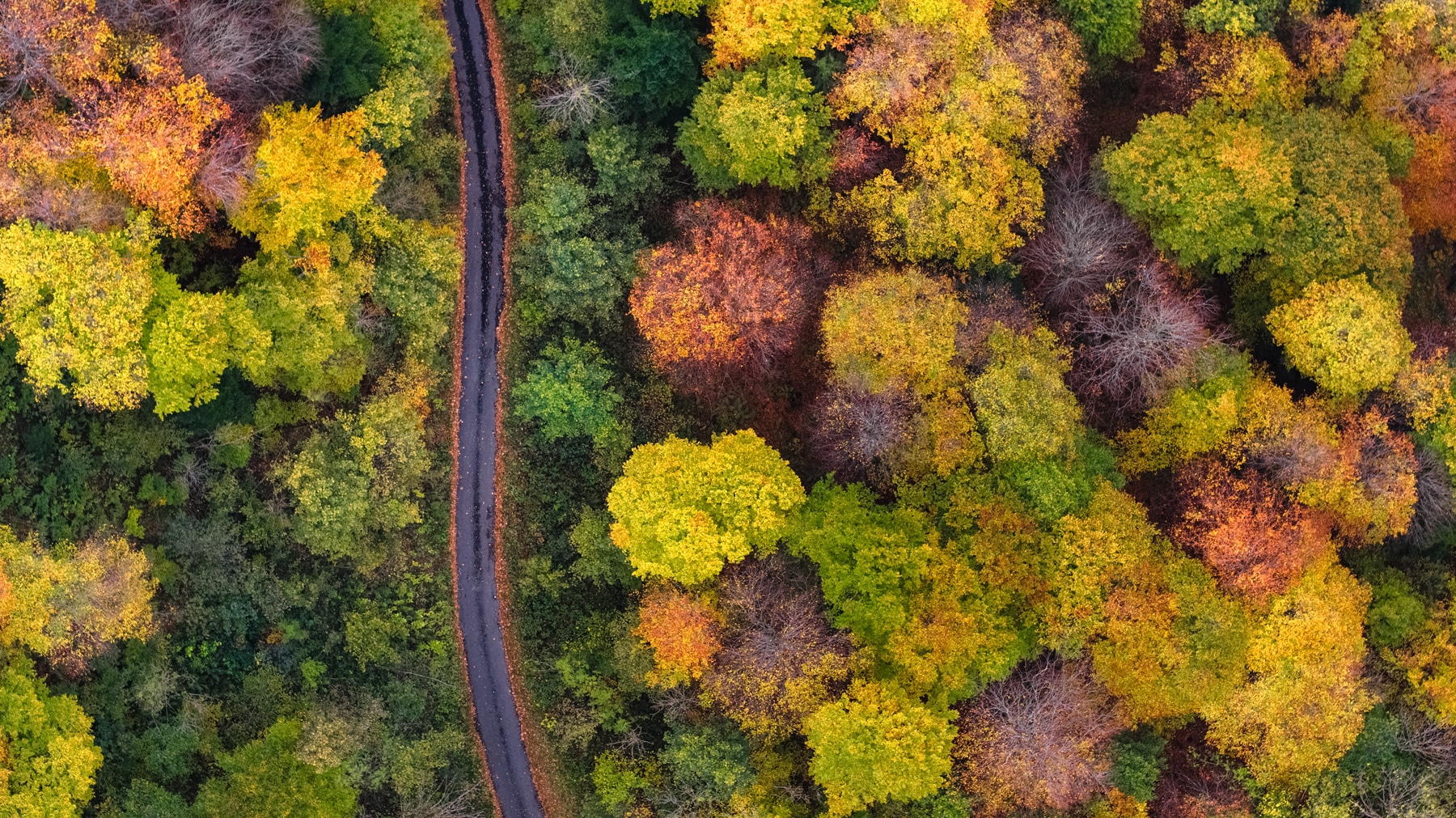 Luftaufnahme Herbstliche Stimmung im Sihltal Gerry Pacher Fotografie